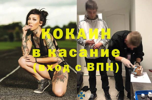 a pvp Магас