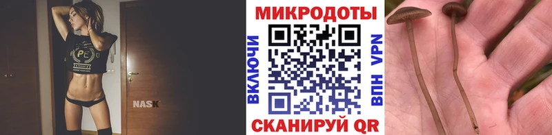 Псилоцибиновые грибы Psilocybine cubensis  что такое   Чегем 